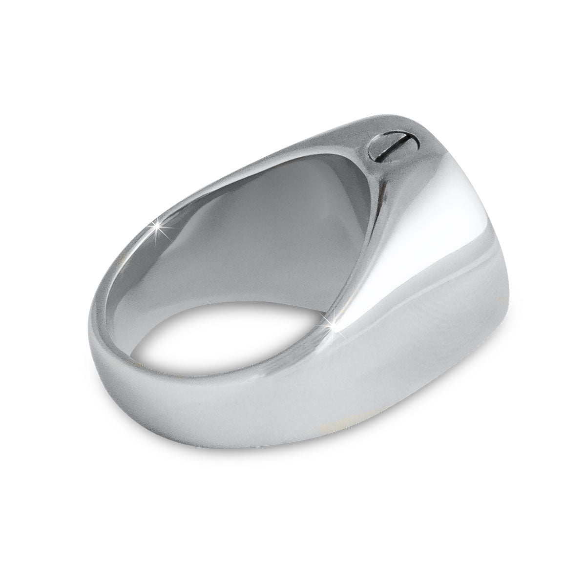 Mens Cremation Ring Steel Keepsake Size -10.5